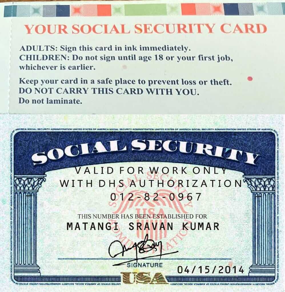 Official International Passport Sample