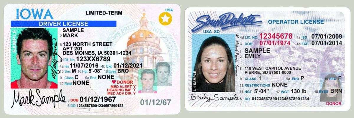 Visa, License & Certificate Example