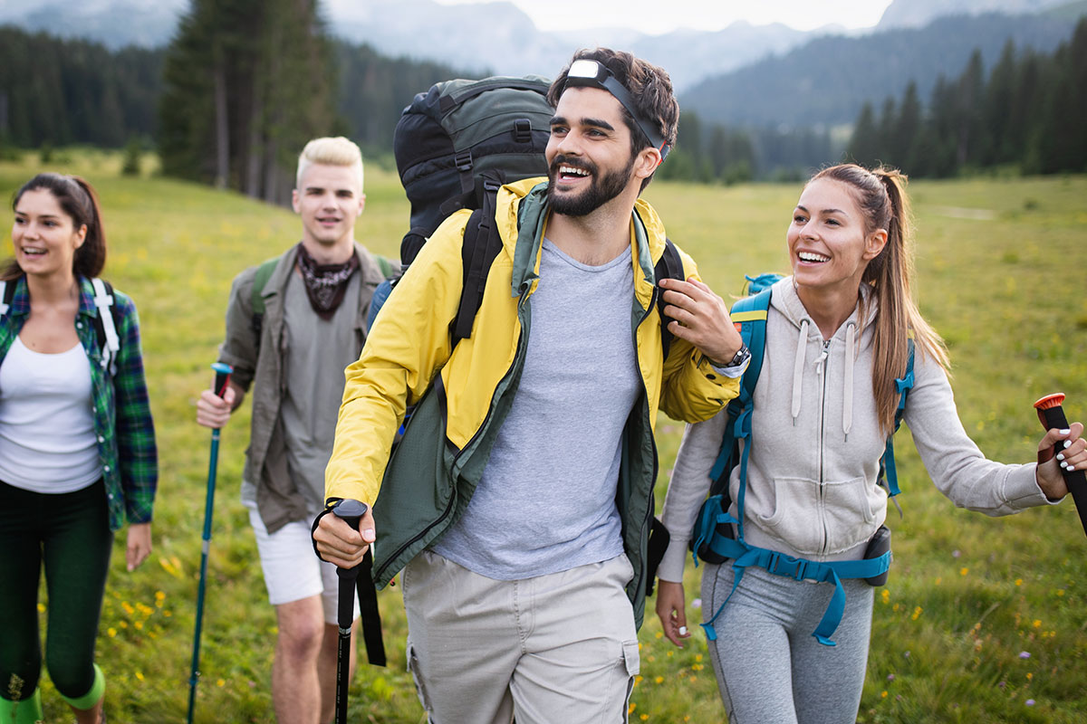 Fast UK driving licence support